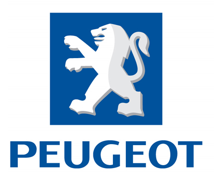 Kocasinan peugeot servisi