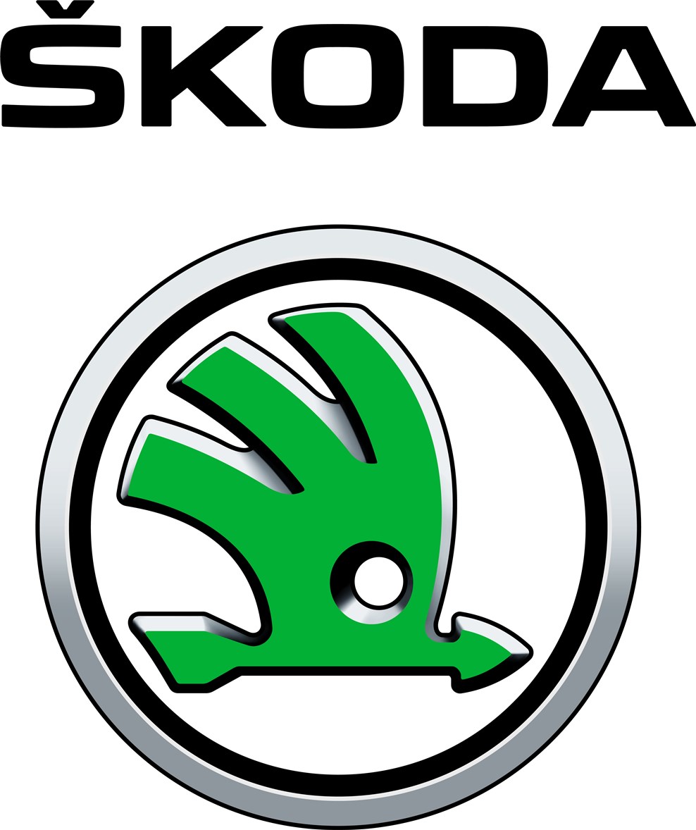 Kocasinan skoda servisi